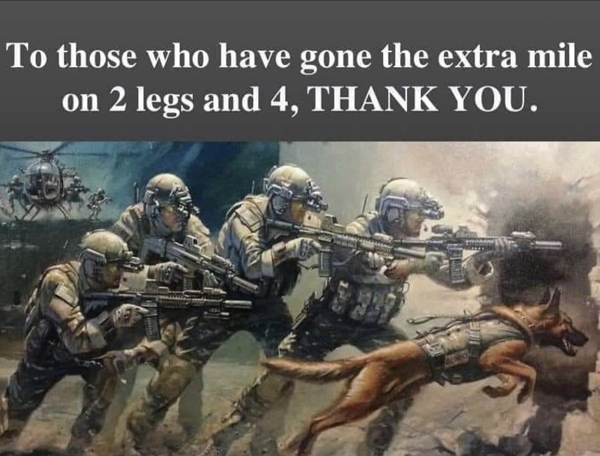#MemorialDay <a href="/BrownDeerWIPD/">Brown Deer PD</a> <a href="/BDPDK9/">K9 Vader (EOW 10/28/25)</a> <a href="/bdpdk9haber/">Brown Deer PD K9Haber</a>