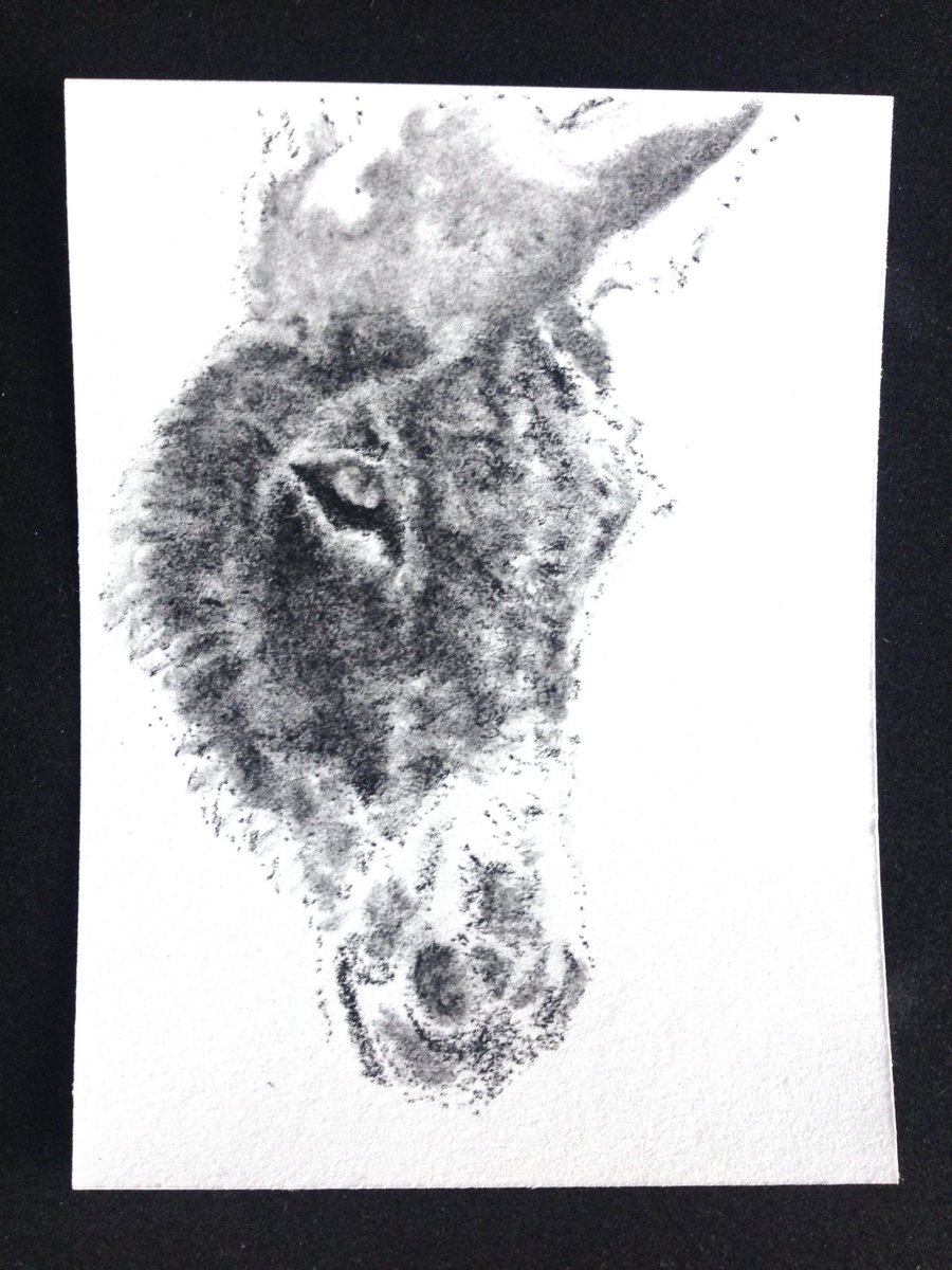 eleekelly's tweet photo. Donkey sketch, charcoal #animals #art #beast #beastandbones #draw https://t.co/qF8zubH1tk