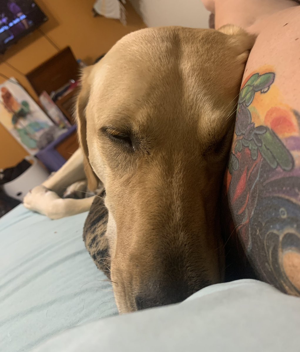 toriculver's tweet photo. After pool snoozin’ https://t.co/c79RbQuxWY