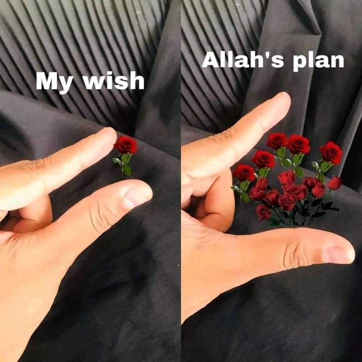 م (@amiiraayman) on Twitter photo 