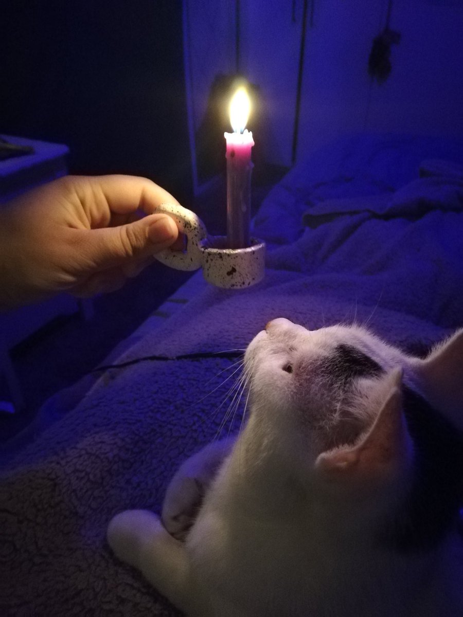 tomraydirs's tweet photo. I remember that dreamlike candlelight like a dream that you can't quite place
But Concon, I'll never forget the first time I saw your face https://t.co/iAcpCOLNki