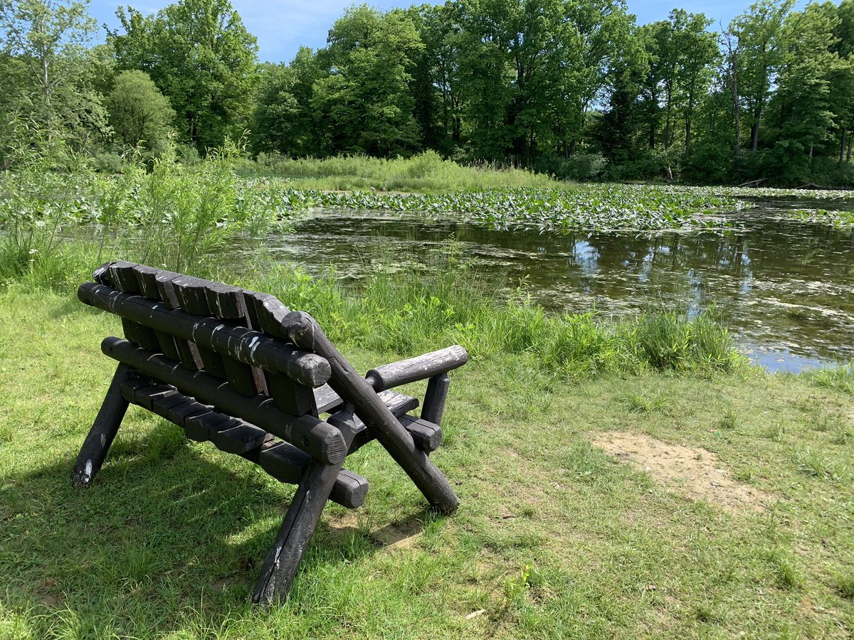PicturesBench's tweet photo. Beautiful views at the #Cuyahoga #Nationalpark in Ohio! @MyFaveBench @Jubilee_View12  #benchfan https://t.co/yufZewz4v4
