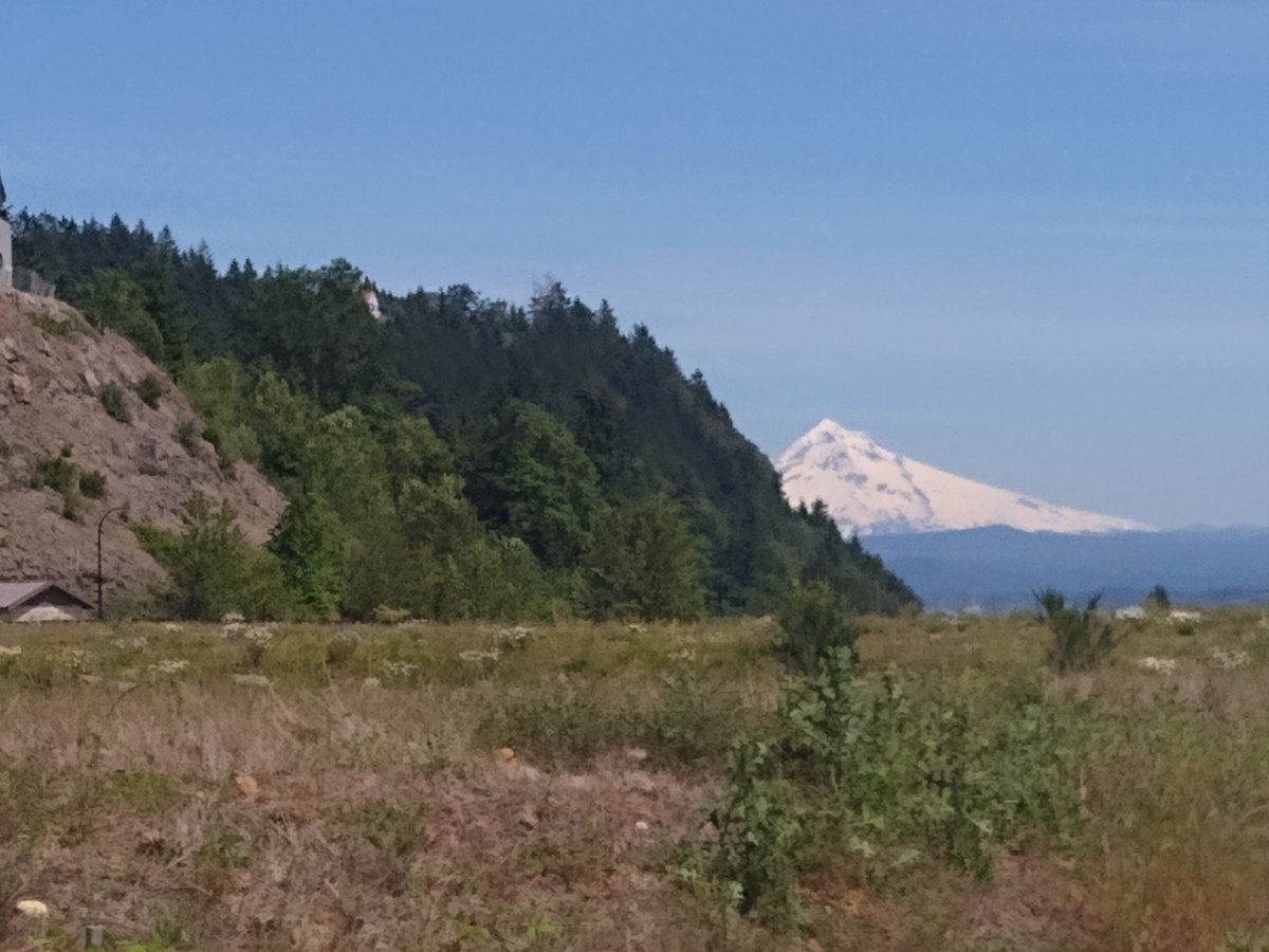 I never, ever take this view driving to work for granted. #MountHood