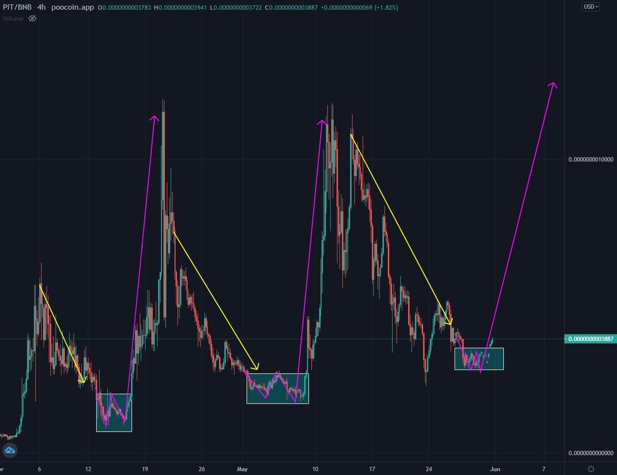Pitbull Token tweet media