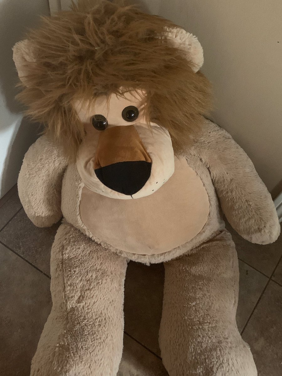 Laurel Schollen tweet media