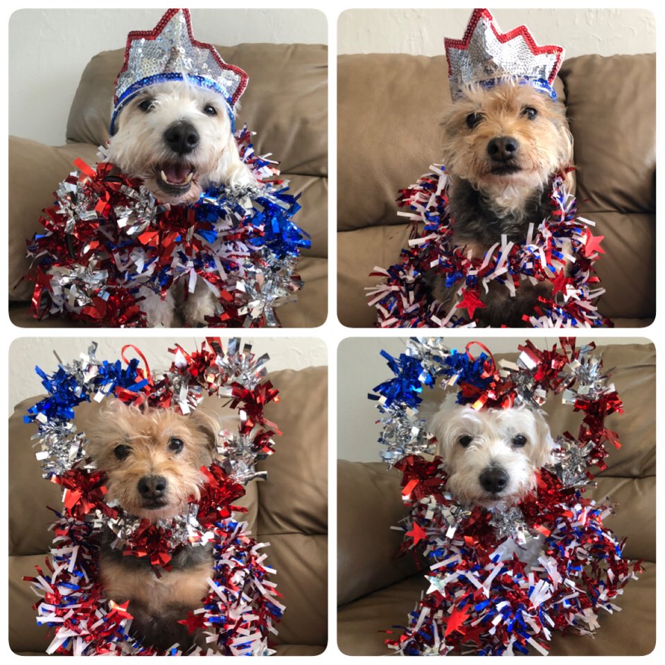 Happy Memorial Day