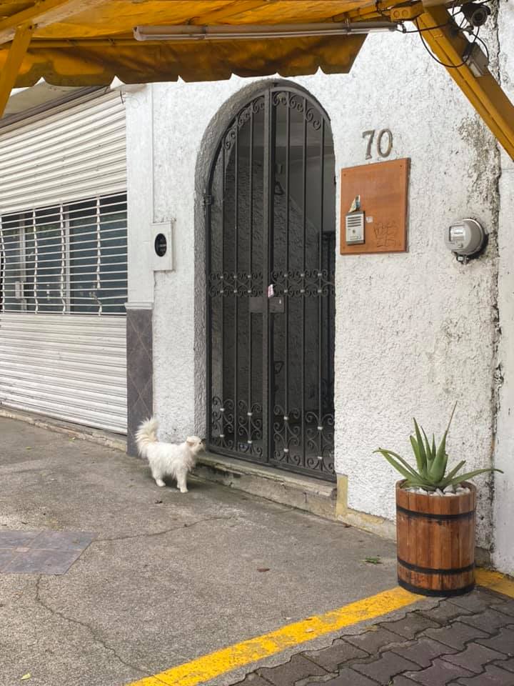 Amor y respeto animal tweet media