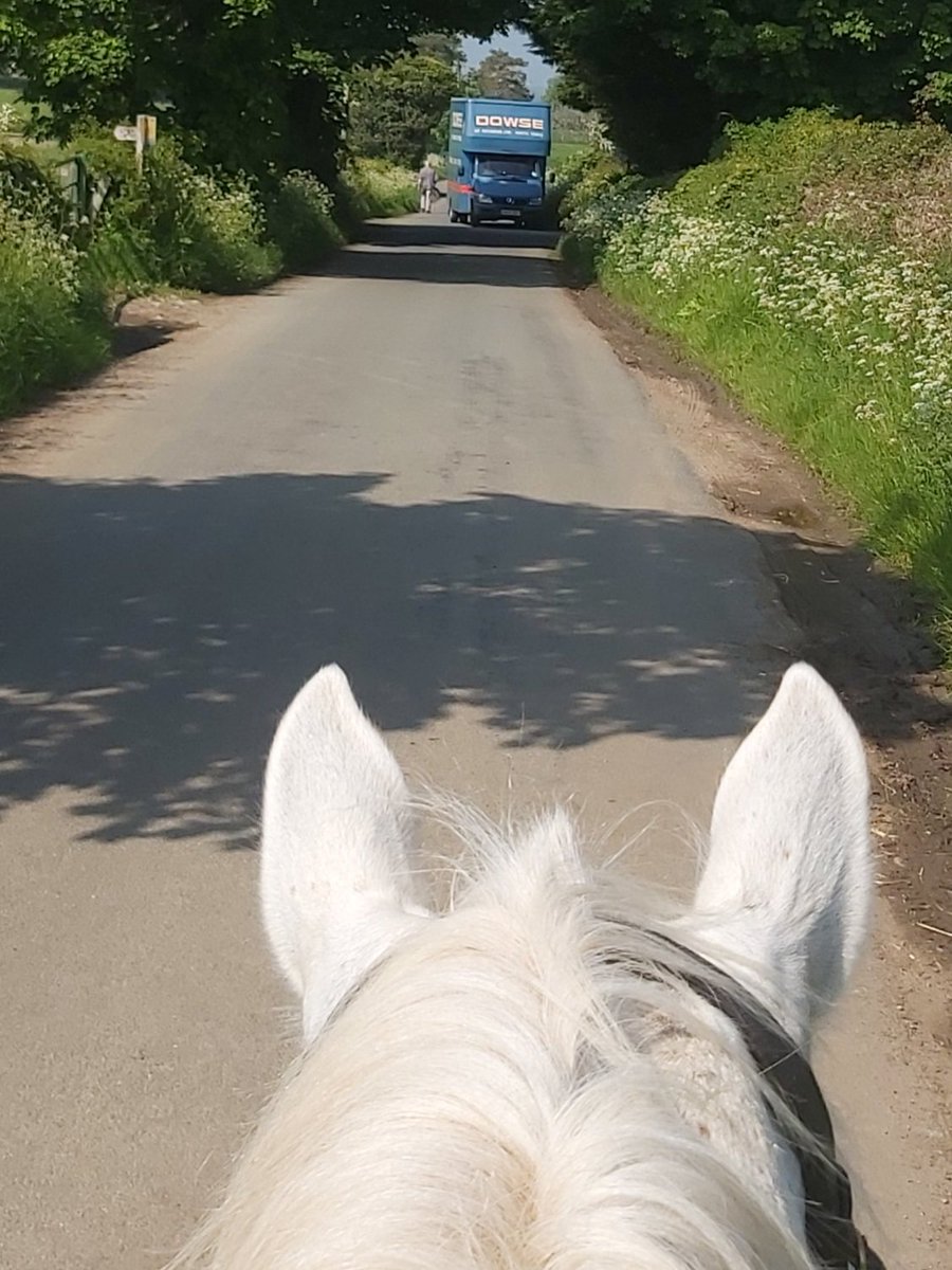 Mel535327135's tweet photo. @ThorntonBeans @HambletonDC do you really think I will be safe on the roads if the egg factory goes ahead? Multiple daily wagons #discoverhambleton i am trying ! https://t.co/2dcJHweIFO