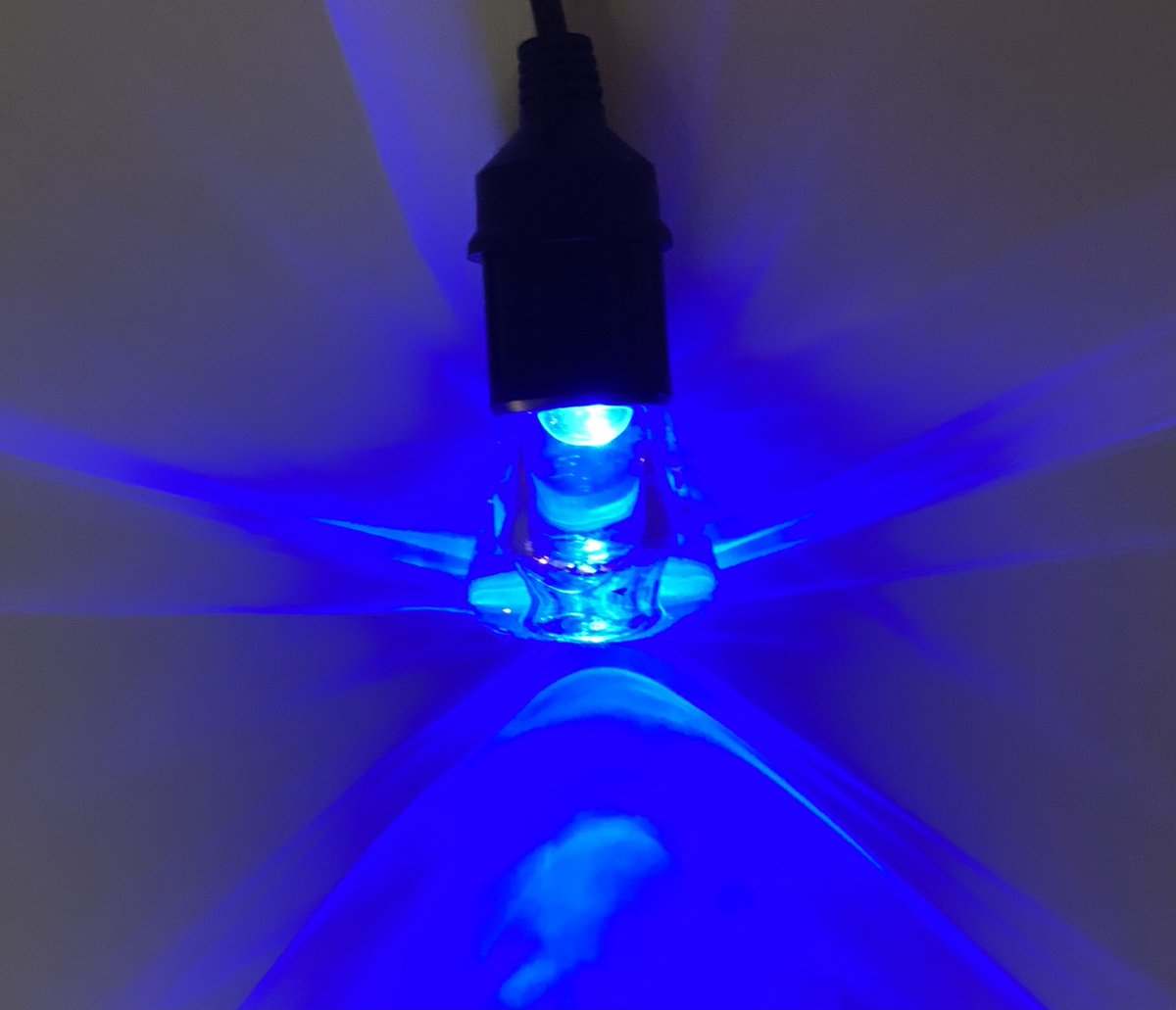 atomi_smart's tweet image. 🇺🇸 Happy Memorial Day 🇺🇸 tweet us photos of your #SmartStringLights in action! #BeAtomiSmart AtomiSmart.com #MemorialDay2021