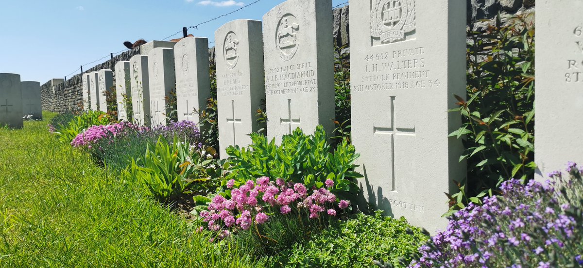 SamuelRebeille2's tweet photo. De belles couleurs #ForenvilleBC  Sains lès Marquions BC   @CWGC https://t.co/0d10xb6RPy
