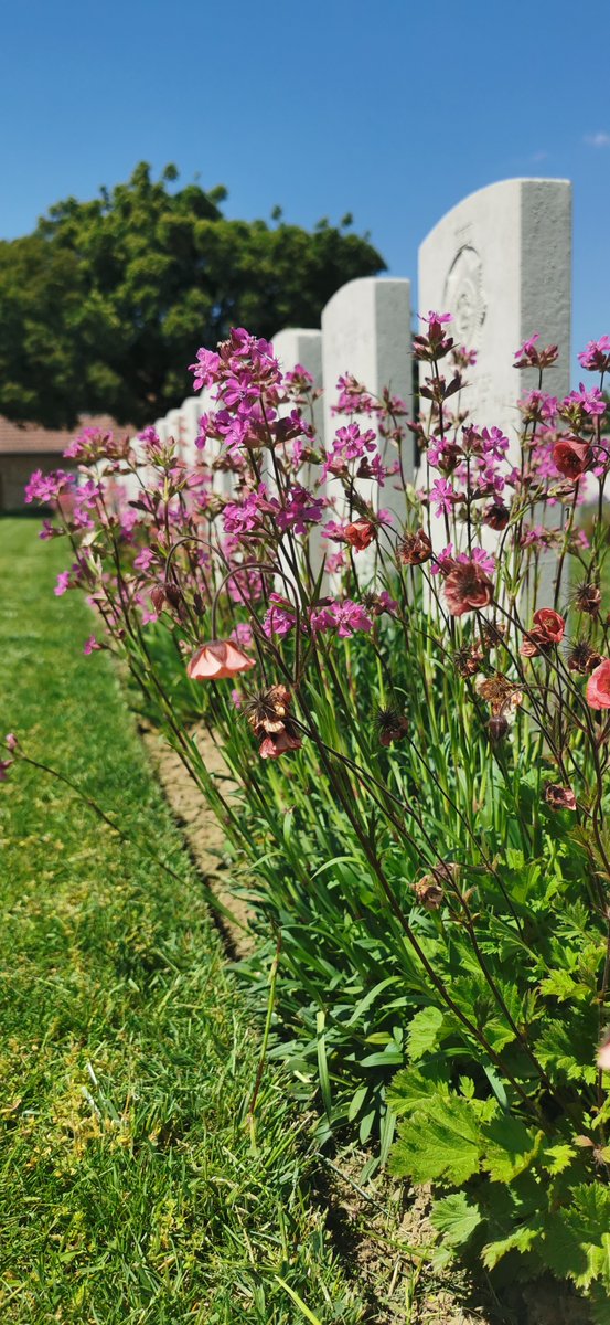 SamuelRebeille2's tweet photo. De belles couleurs #ForenvilleBC  Sains lès Marquions BC   @CWGC https://t.co/0d10xb6RPy