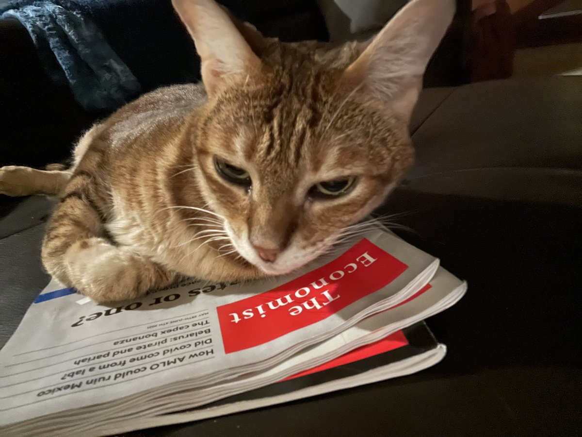 TToyger's tweet photo. Reading makes me sleepy. 🥱 https://t.co/nLx7vtLRNx