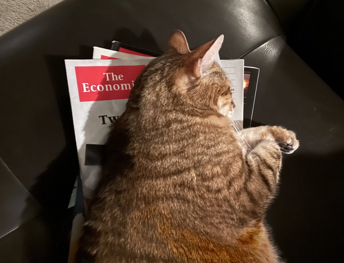 TToyger's tweet photo. Reading makes me sleepy. 🥱 https://t.co/nLx7vtLRNx