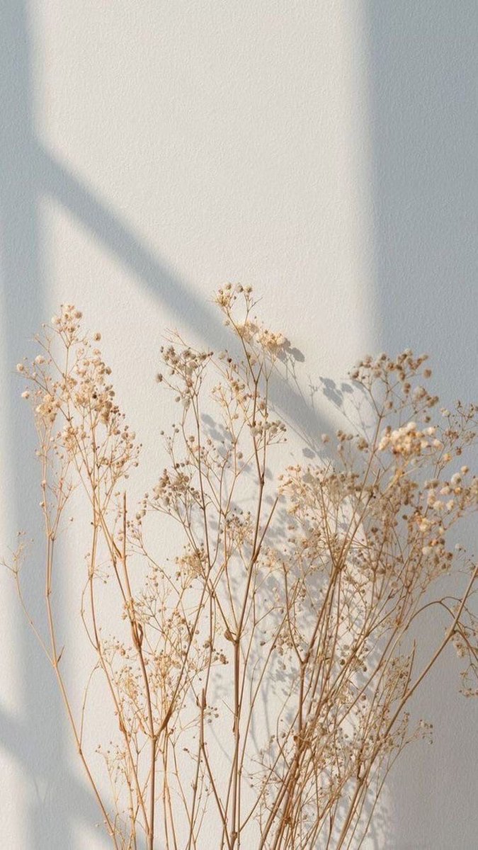 youminimalism's tweet photo. https://t.co/pKknvUKZqc