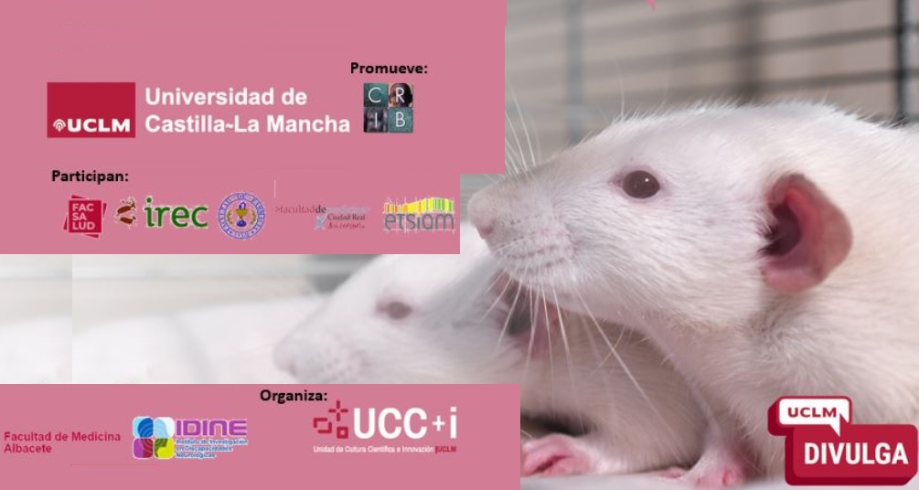 InvestigaCMM tweet media