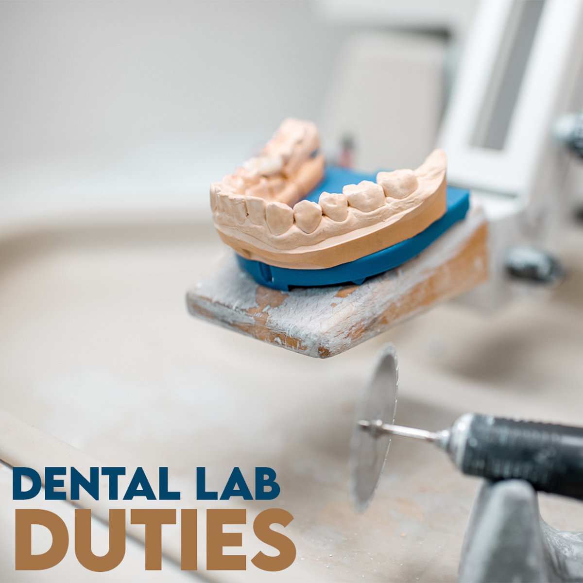 Dental science makes up a vast spectrum of work, from studies to product R&amp;D and more. A typical #dentallab, however, specializes in the manufacture of prostheses. This includes crowns, dentures, and bridges, to name a few.