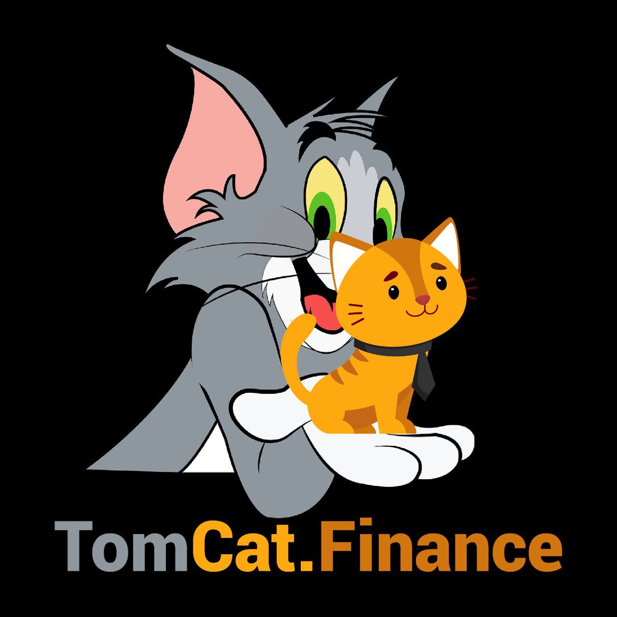TomCat Finance tweet media