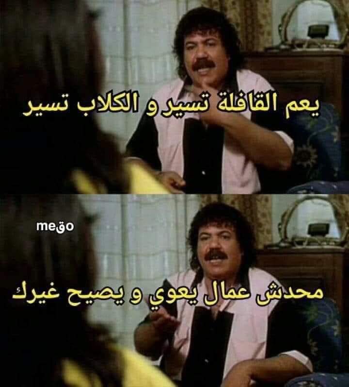 Fact