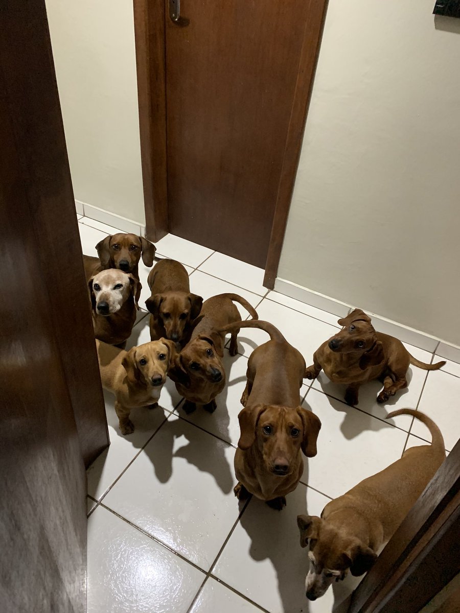 salsichinhas's tweet photo. Única aglomeração possível https://t.co/bHl0VCI3e3