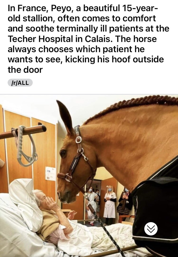 chuck ☀️🐦 tweet media