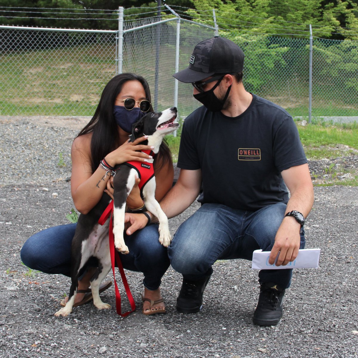 TheSatoProject's tweet photo. Because who doesnโt want to see more satos meeting their families for the first time? All of these pups and so many others are now enjoying their very first holiday weekend with their families!
#missionpossible13 #MemorialDayWeekend #dogsoftwitter https://t.co/6xdknCv6uK