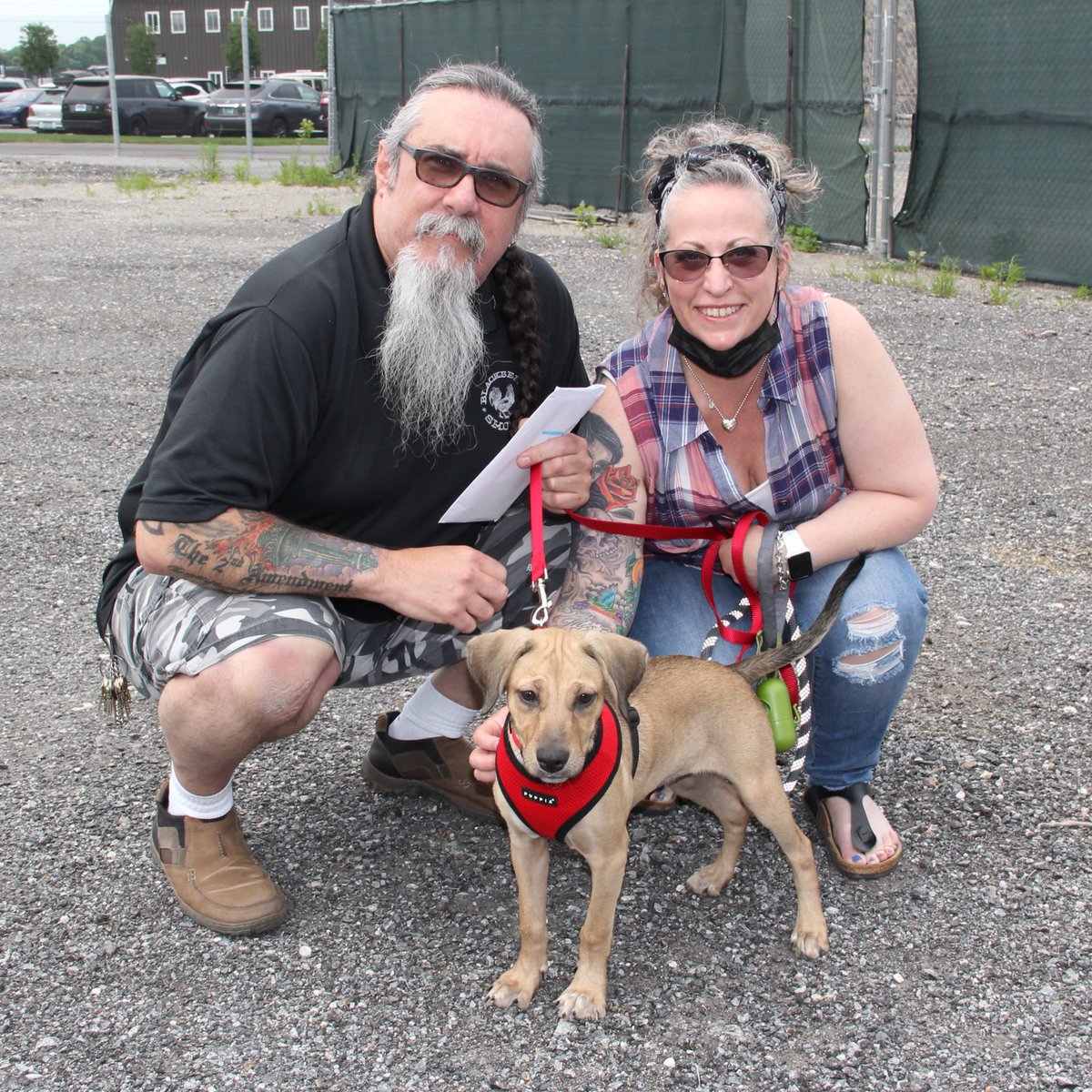 TheSatoProject's tweet photo. Because who doesnโt want to see more satos meeting their families for the first time? All of these pups and so many others are now enjoying their very first holiday weekend with their families!
#missionpossible13 #MemorialDayWeekend #dogsoftwitter https://t.co/6xdknCv6uK