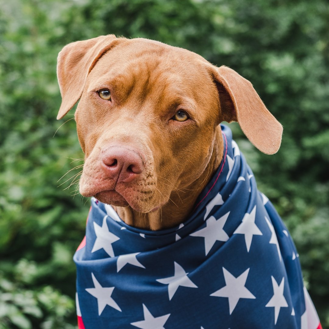 maventracker's tweet photo. To those who courageously gave their lives and to those bravely fight today. Thank you! ⁣
⁣
Happy Memorial Day 🇺🇸 ⁣ https://t.co/SILwwBRnHz