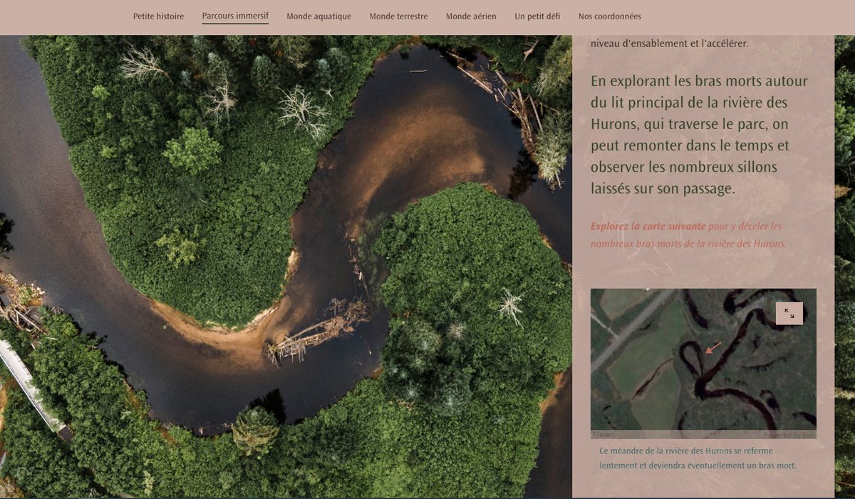SIG_a_lecole's tweet photo. Utilisez la #carte #narrative d'#AGIRO pour aborder la #biodiversité et les #perturbations dans les #milieuxnaturels : https://t.co/RzE1DiWI1y
✅Quelles espèces retrouve-t-on?
✅À quels défis font-elles face?
✅Quelles actions peut-on prendre?
#CSSPremièresSeigneurie @recitqc https://t.co/fjKxJTCOpH