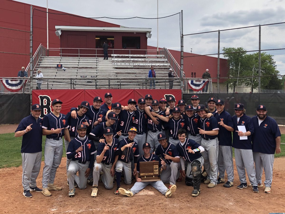 The Bison of Buffalo Grove!