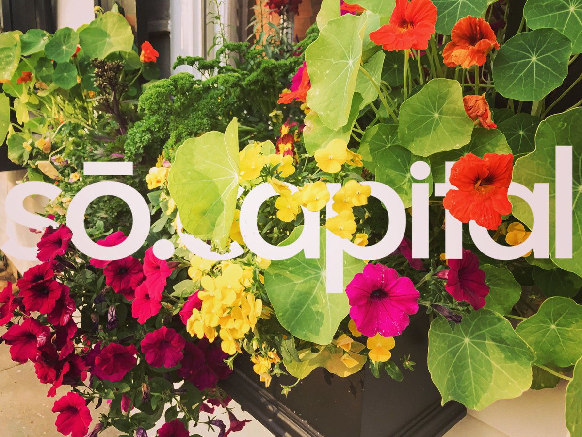 Be one among #many in a garden of #blooming #capital #socapital