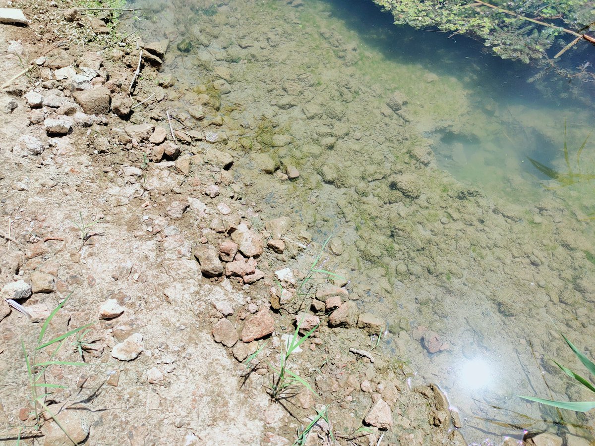 AmmarAltaee1945's tweet photo. The water level in the Hilla River (Babylon) began to decrease, and the original Babylonian bricks began to appear, extending into the river. https://t.co/ksY81HcoQW