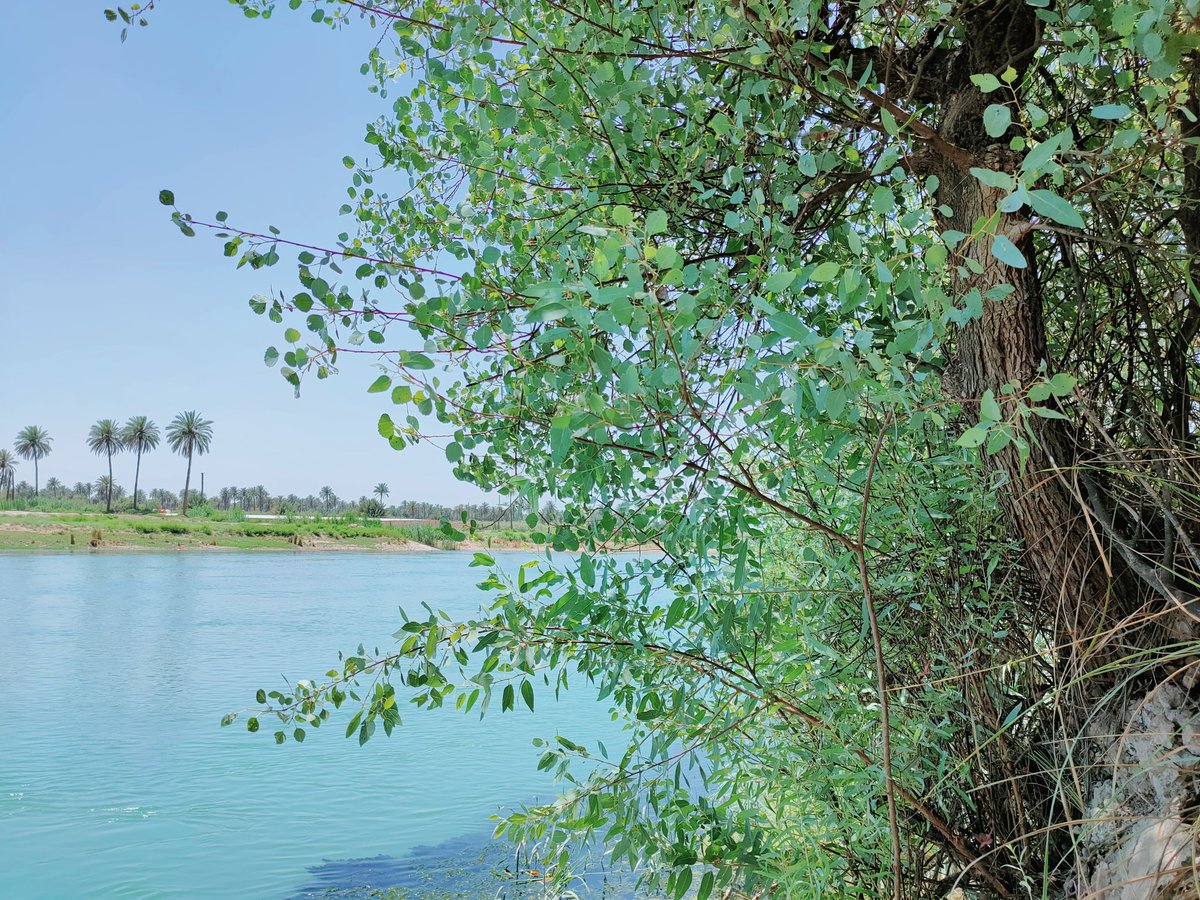 AmmarAltaee1945's tweet photo. The water level in the Hilla River (Babylon) began to decrease, and the original Babylonian bricks began to appear, extending into the river. https://t.co/ksY81HcoQW