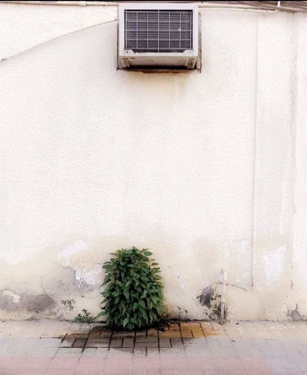 محمد المقحم tweet media