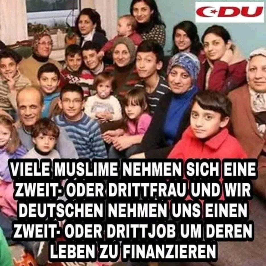 HTTPS WWW POLITIKVERSAGEN NET visual data 2