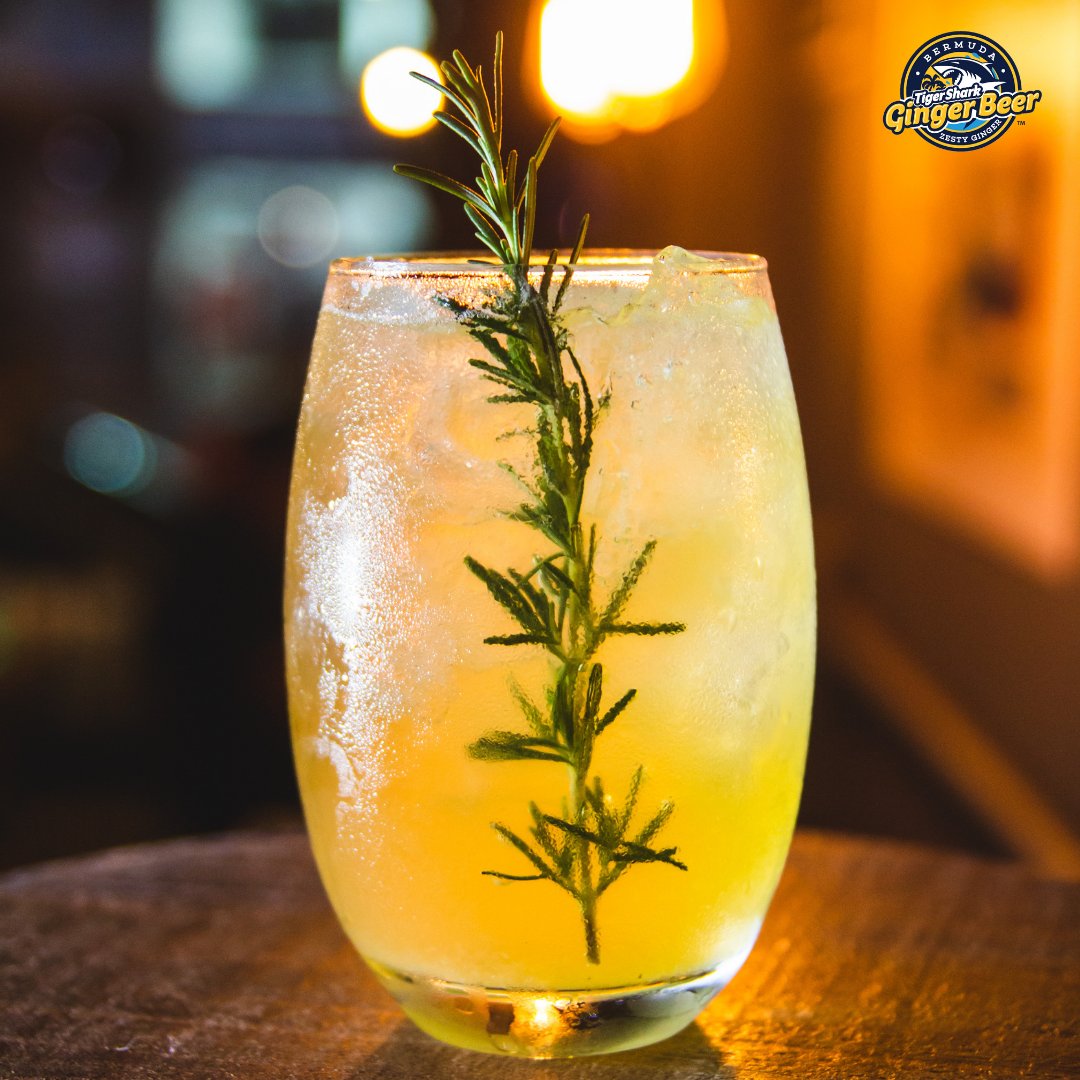 sharkgingerbeer's tweet photo. Silence is refreshment for the soul and ginger beer is refreshment for the body #TigerSharkGingerBeer https://t.co/zRJpWleEMO