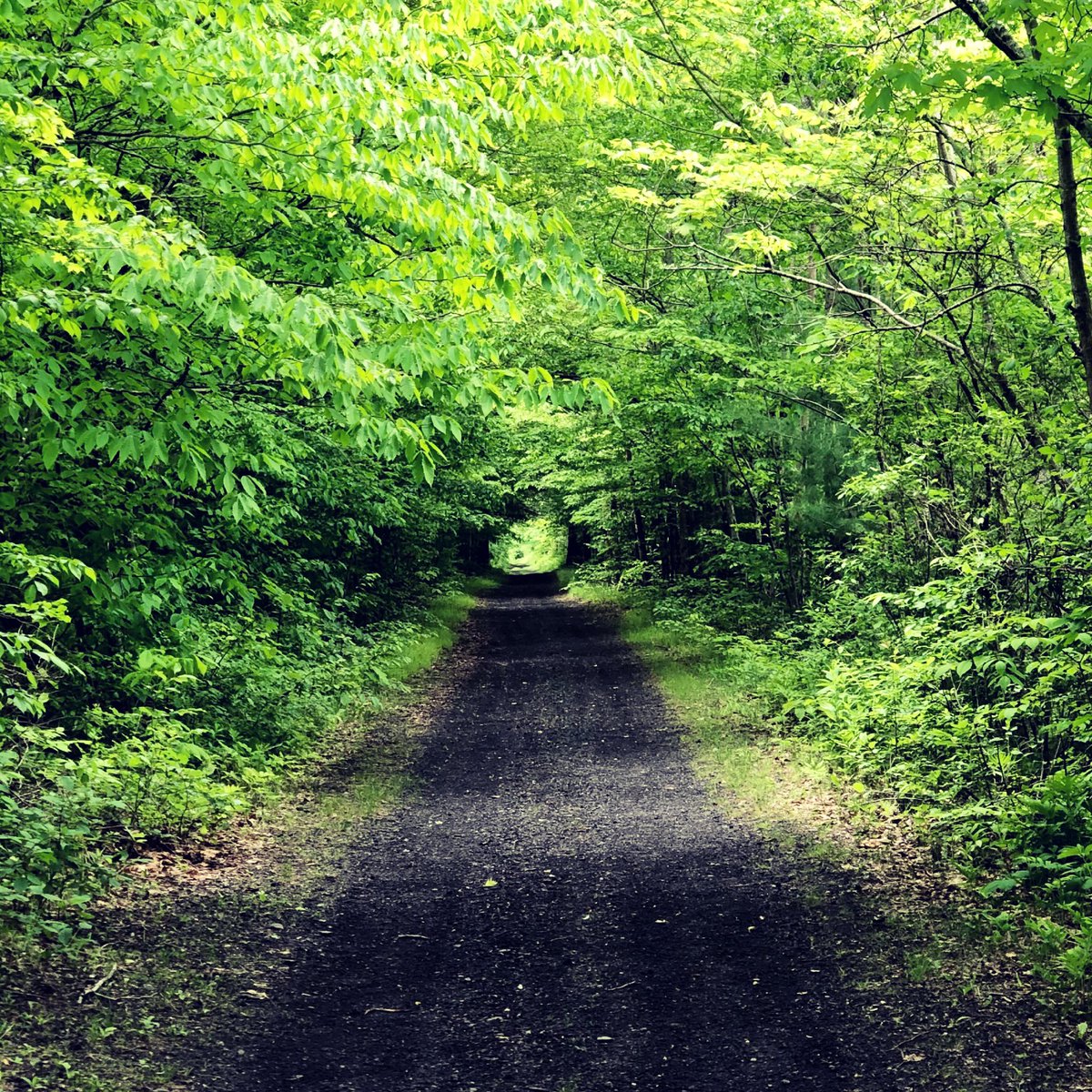 We’re taking this week off from the newsletter to relax and enjoy some nature over the holiday weekend. See you in a couple of weeks!