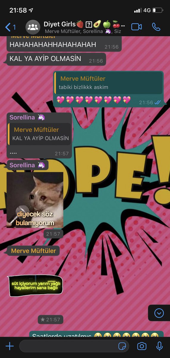 Diyetisyen olunca stickerların bile diyet temalı oluyormuş....