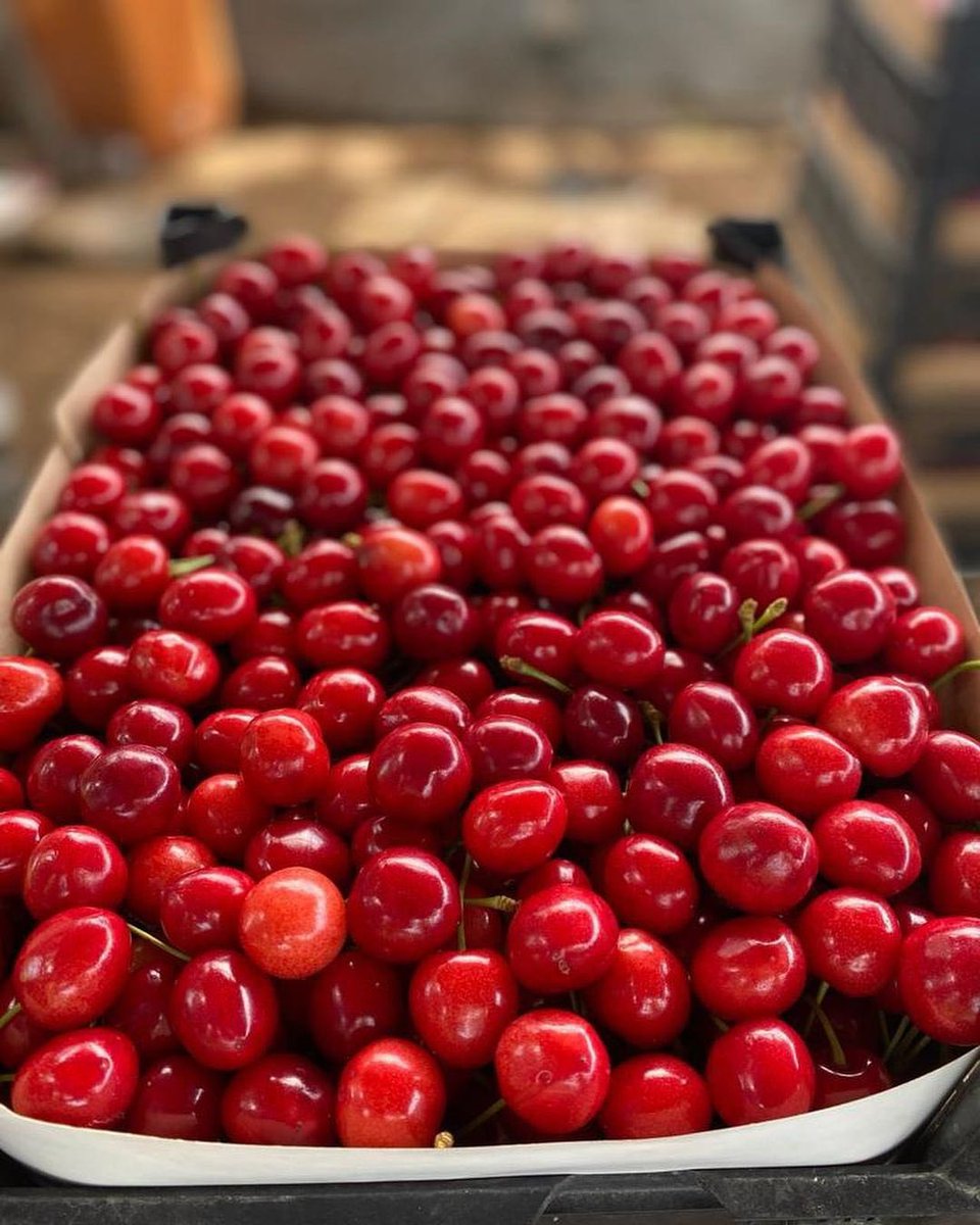 Kiraaz 🍒

Kiraz sezonu açılmıştıır 😍

📞 Sipariş için mesaj atabilirsiniz 

#KirazZamanı #kiraz