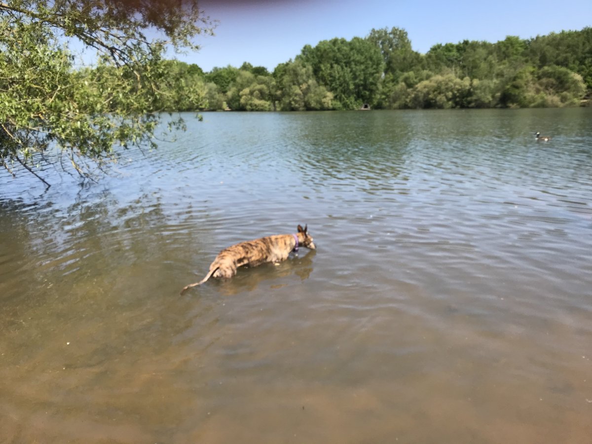 Keeping me undercarriage cool on such a hot day