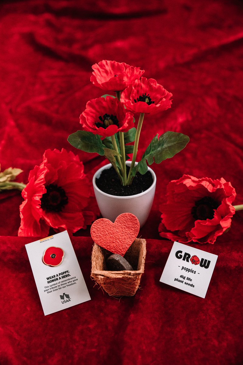 Wearing my <a href="/USAA/">USAA</a> poppy pin and planting my own poppy flower to honor the military members who
died while serving our country. If you’re honoring a loved one who died while serving, this post is for
you: instagram.com/p/CPjG4LSJtyu/… #honorthroughaction #USAApartner