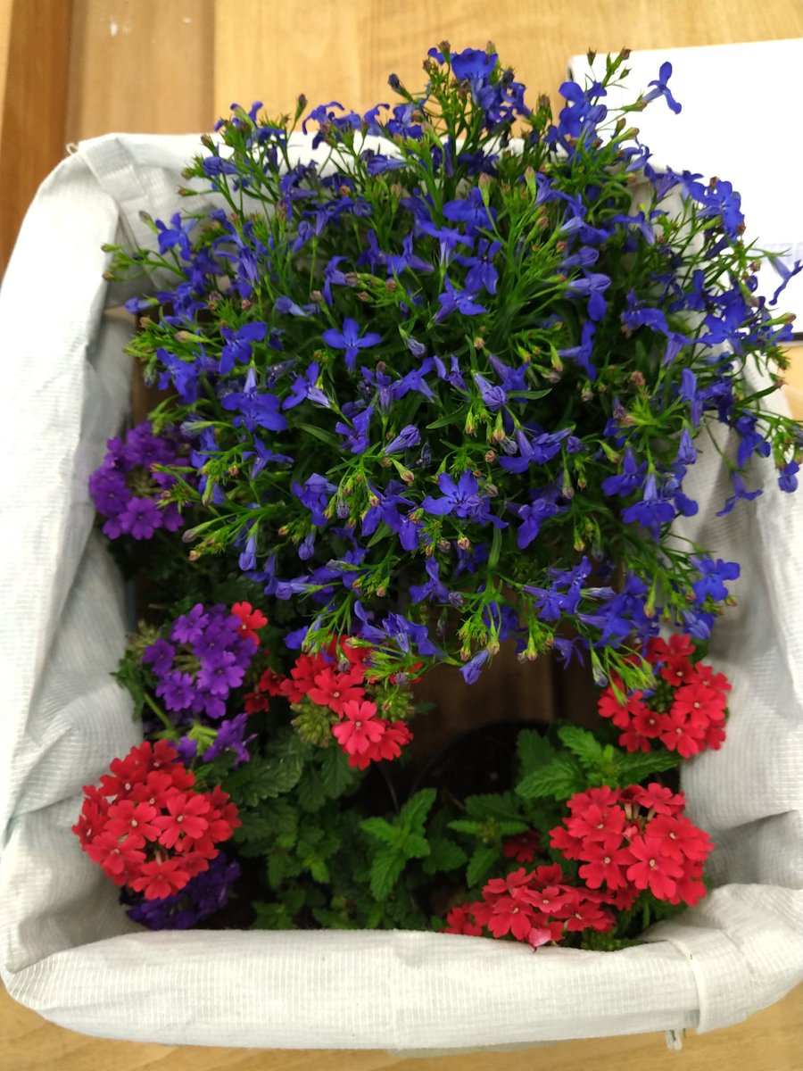 ProjectLIQUOR tweet media