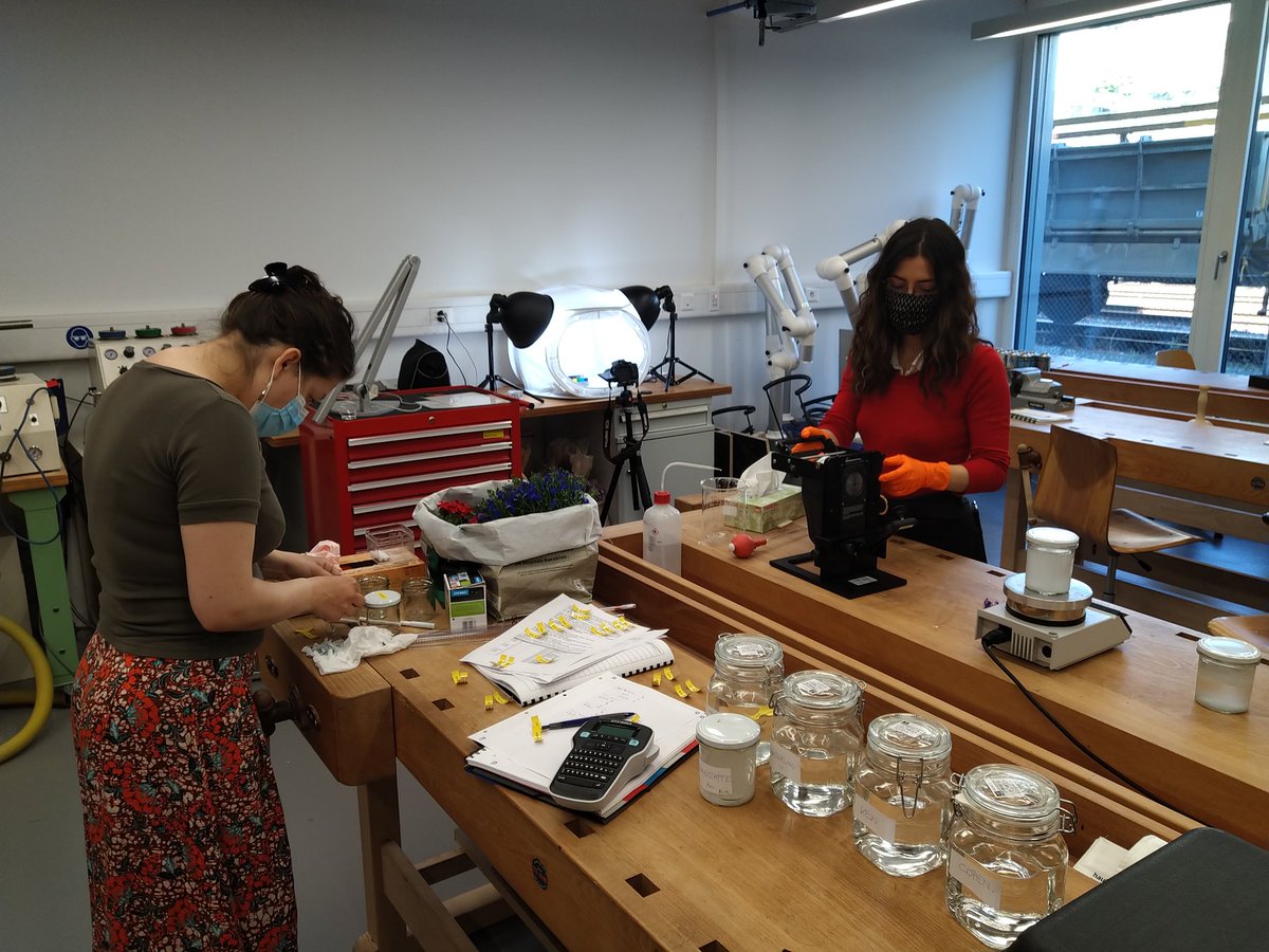 ProjectLIQUOR tweet media