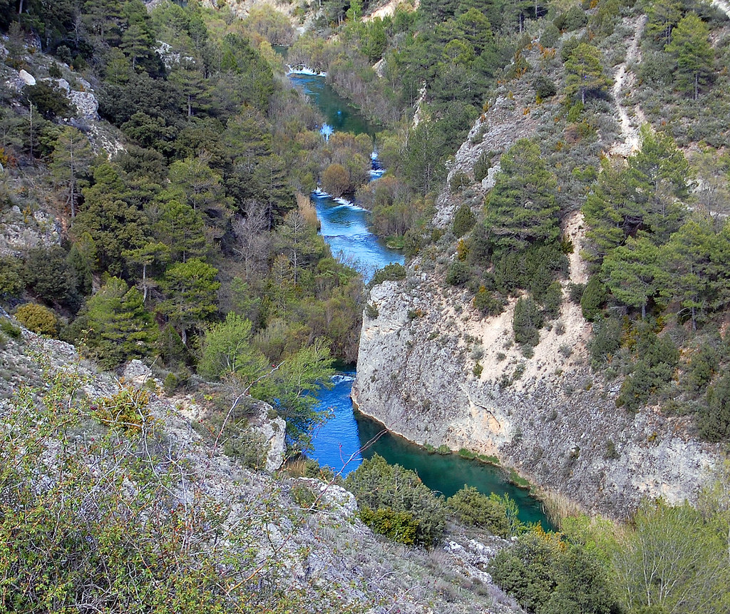 LaBioHuella's tweet photo. 😍 #SerraníaDeCuenca #Bolarque #MarDeCastilla #HayedoTejeraNegra #ValleDeAlcudia #SierraMadrona https://t.co/Gjg4v8I64v