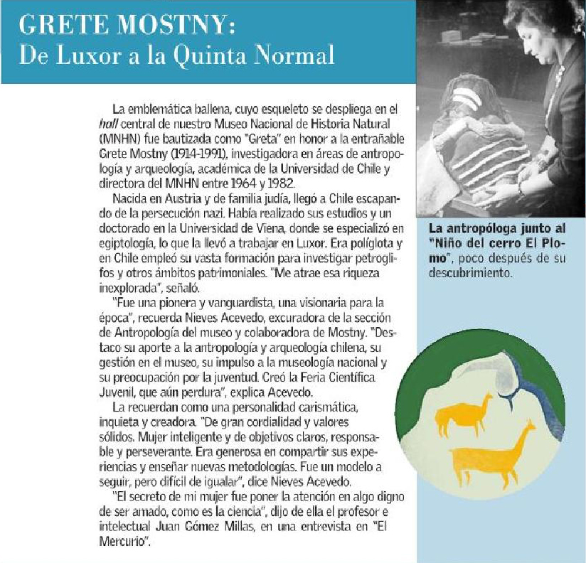 MNHNcl's tweet photo. A propósito del #DíaDelPatrimonio, ayer en el suplemento Artes y Letras, de @ElMercurio_cl, se destacó a Grete Mostny, directora del MNHN entre 1964 y 1982, como una pionera que se encariñó con el patrimonio chileno. 😊 https://t.co/oWkqr9udNn