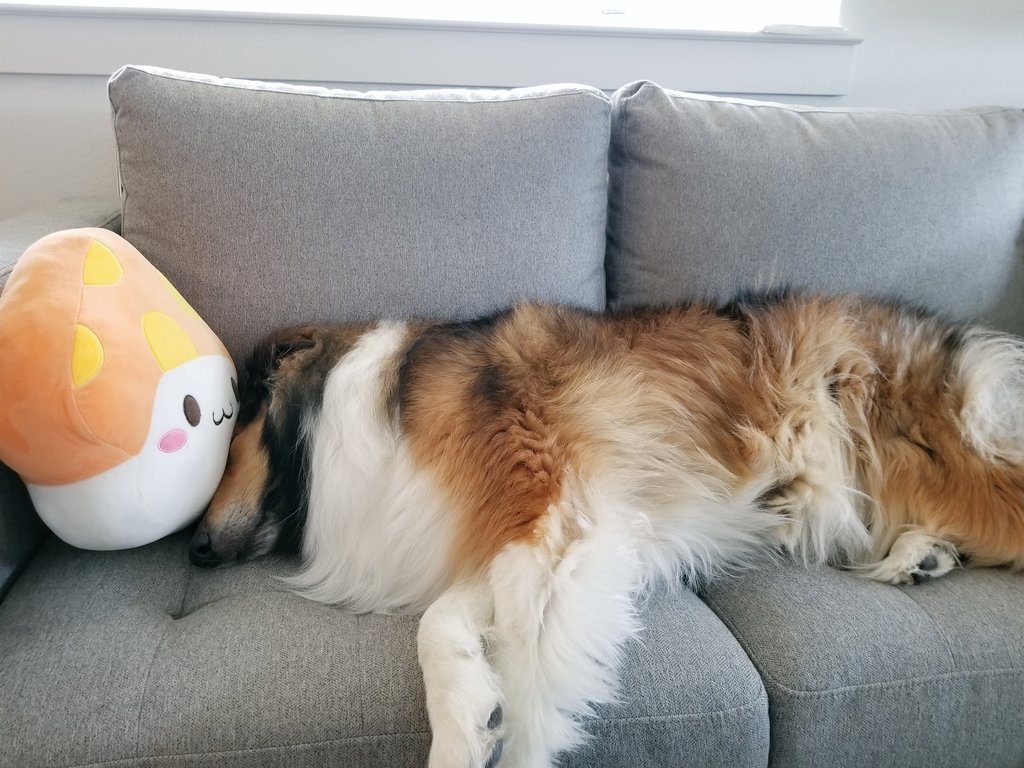 TheDaBoki's tweet photo. Yuki dreaming about mushroom game https://t.co/WEDKVK6bF1