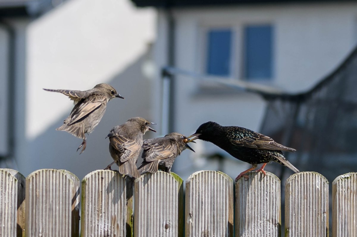Feeding time