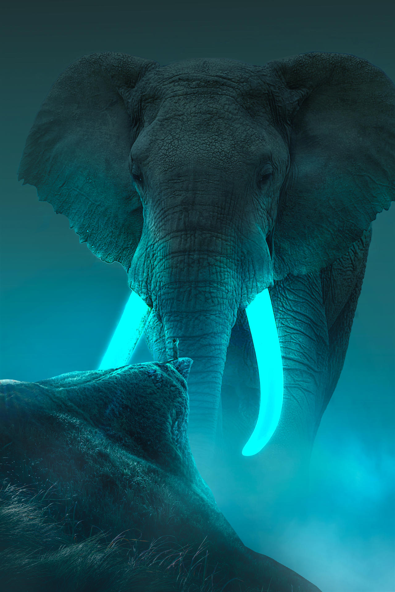 Elephant in The Woods Animated Wallpaper by livewallpaperspc on DeviantArt