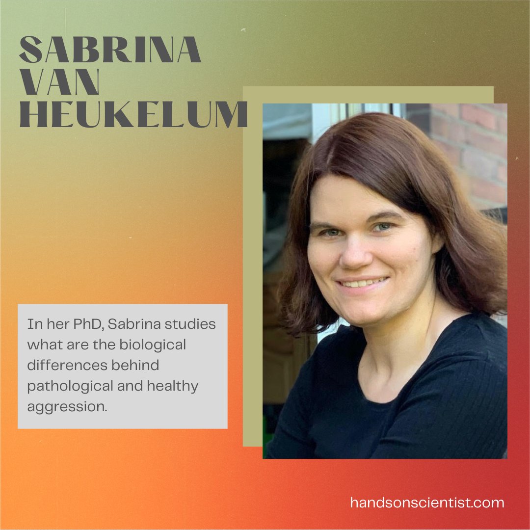 carolaraujos's tweet photo. What are the biological bases of aggressive behavior? Meet Sabrina van Heukelum and her great PhD work on the neural differences between pathological and healthy aggression.

#scicomm #phdlife 

https://t.co/HgRp5YouUK https://t.co/3T5G8GQPiF