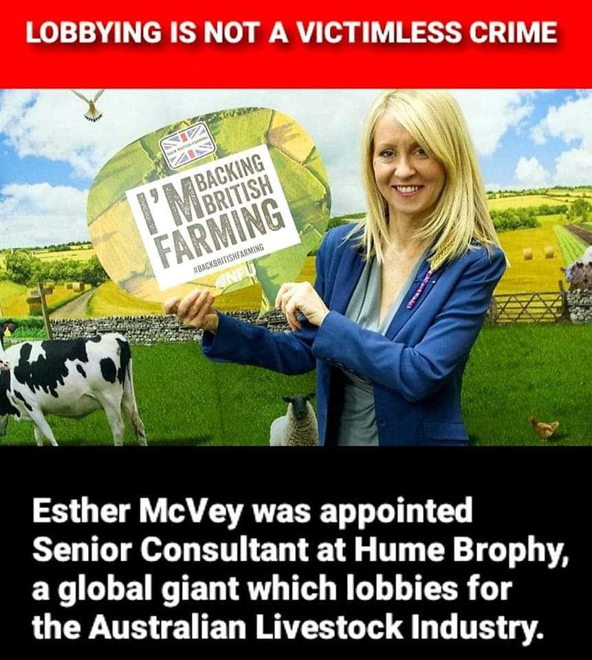 Mr_ReadingTown's tweet image. Well well well.   👇👇👇👇👇👇👇👇