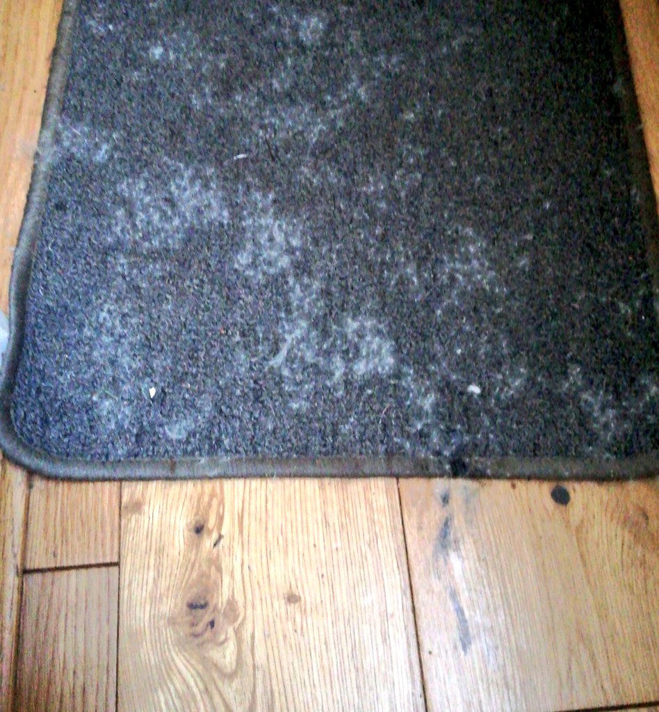 LPWWCo's tweet photo. On a Whim is full of sex today...😲
Wait!, What? No, no!
Tree sex - I gave it a good go with the vacuum around 4pm today but were full of the fluffy white seed again 😳😂
Easily a pillowcase of it😶
#BoatsThatTweet
#SisypheanTask https://t.co/zx96ajt5Pe